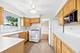 919 E Ironwood, Mount Prospect, IL 60056
