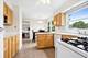 919 E Ironwood, Mount Prospect, IL 60056
