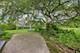 1152 Terre, Libertyville, IL 60048