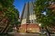 501 N Clinton Unit 3203, Chicago, IL 60654