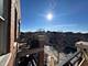 3945 S Ellis Unit 3N, Chicago, IL 60653