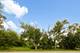 7707 Virginia, Willowbrook, IL 60527