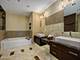 1211 S Prairie Unit 1305, Chicago, IL 60605