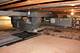 5639 N Manor, Norwood Park Township, IL 60631