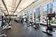 415 E North Water Unit 2204, Chicago, IL 60611
