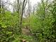6420 Thurlow, Willowbrook, IL 60527