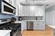 1212 N Wells Unit 1505, Chicago, IL 60610