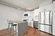 212 E Cullerton Unit 1009, Chicago, IL 60616