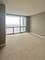 1841 S Calumet Unit 706, Chicago, IL 60616