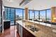 1235 S Prairie Unit 3101, Chicago, IL 60605