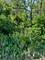 21177 N Valley, Kildeer, IL 60047