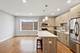 2237 W Coulter Unit 4, Chicago, IL 60608