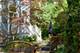 875 Gordon, Winnetka, IL 60093