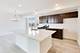 1001 Celebration, Aurora, IL 60504