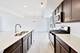 1001 Celebration, Aurora, IL 60504