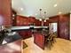 9030 Elm, Burr Ridge, IL 60527