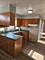 9117 S Wallace, Chicago, IL 60620
