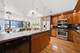 850 N Dewitt Unit 9J, Chicago, IL 60611