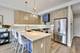 1715 S Morgan Unit 2, Chicago, IL 60608