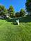1121 Iron Horse, Elgin, IL 60124