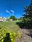 1121 Iron Horse, Elgin, IL 60124