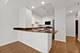 1250 S Michigan Unit 1704, Chicago, IL 60605