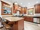 112 S Waiola, La Grange, IL 60525