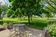 21365 Silktree, Plainfield, IL 60544