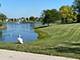 21365 Silktree, Plainfield, IL 60544