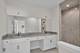 8858 Buffington Breakwater, Frankfort, IL 60423