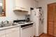 1307 N Greenview Unit 3F, Chicago, IL 60642