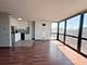1122 N Clark Unit 1702, Chicago, IL 60610