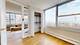 336 W Wellington Unit 1104, Chicago, IL 60657