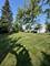 33 E Walnut, Des Plaines, IL 60016