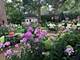 102 Keystone, River Forest, IL 60305