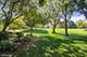 471 Old Barn, Lake Barrington, IL 60010