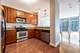 1600 S Prairie Unit 1105, Chicago, IL 60616
