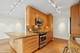 1100 N Lake Shore Unit 11B, Chicago, IL 60611