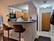 211 E Ohio Unit 523, Chicago, IL 60611