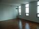 1255 S State Unit 1717, Chicago, IL 60605
