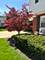 124 S Fairlane, Elmhurst, IL 60126