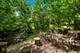 6270 S Garfield, Burr Ridge, IL 60527