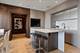 800 N Michigan Unit 2102, Chicago, IL 60611