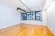 1021 S State Unit 205, Chicago, IL 60605