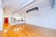 1021 S State Unit 205, Chicago, IL 60605