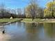 3 Eagle Pointe, Barrington Hills, IL 60010