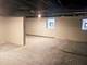 9207 S Ellis, Chicago, IL 60619