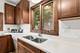 819 S Lombard, Oak Park, IL 60304