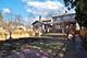 205 S Cuyler, Oak Park, IL 60302