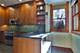 205 S Cuyler, Oak Park, IL 60302